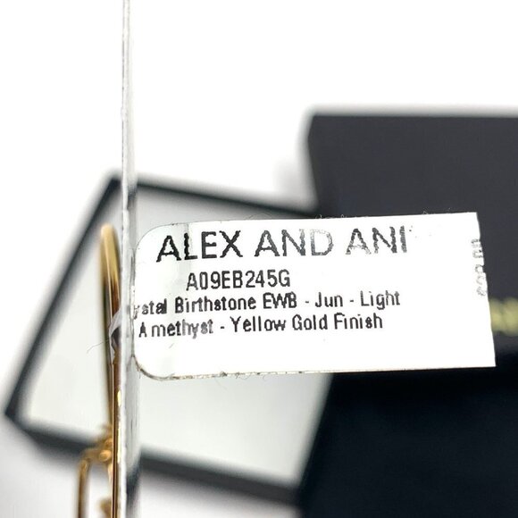 Alex and Ani Light Amethyst June Birthstone Charm Bracelet Yellow Gold Finish - Picture 4 of 5